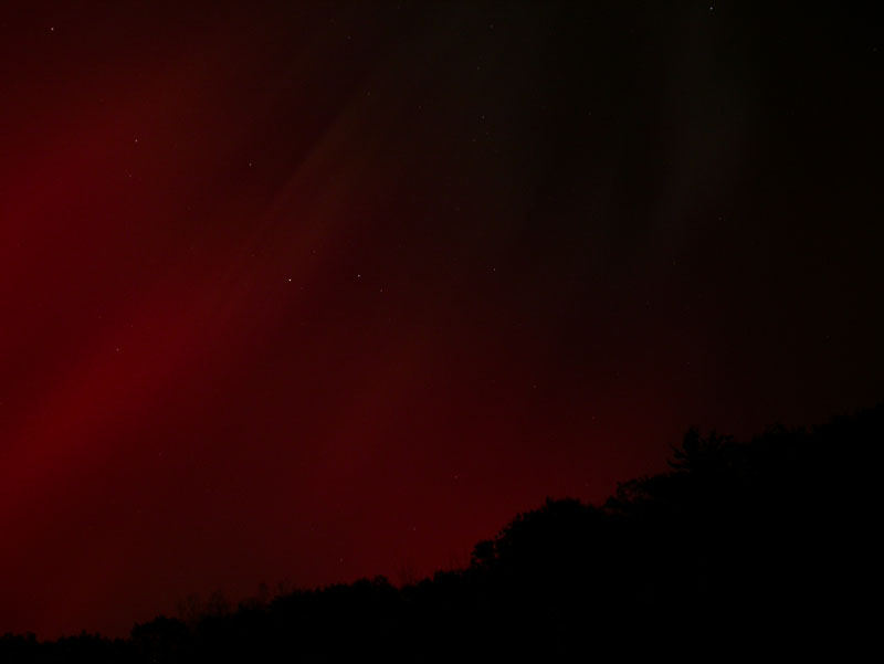 DSCN5642