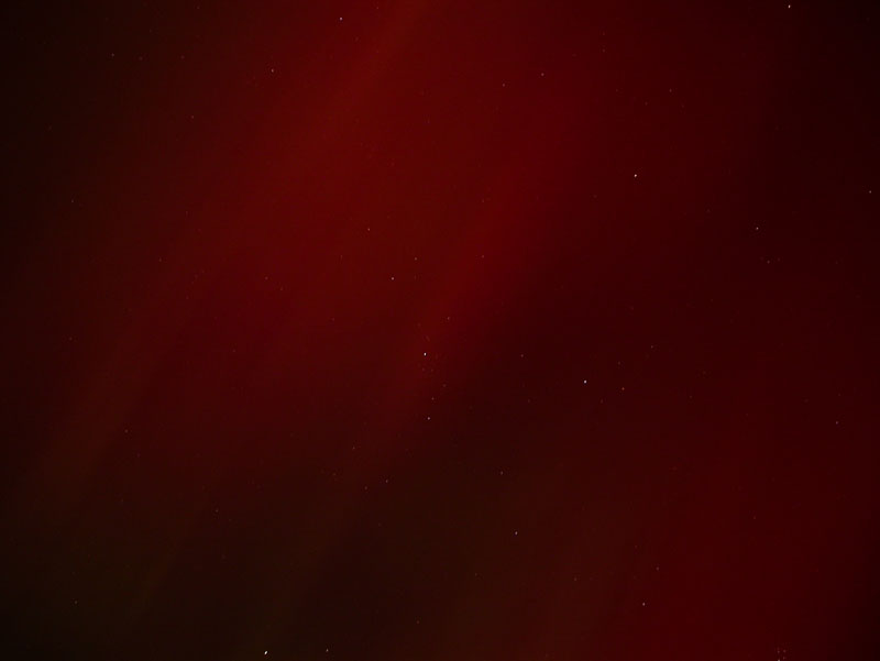 DSCN5649